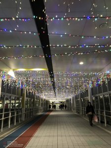 20180109174842_iPhone 7.jpg